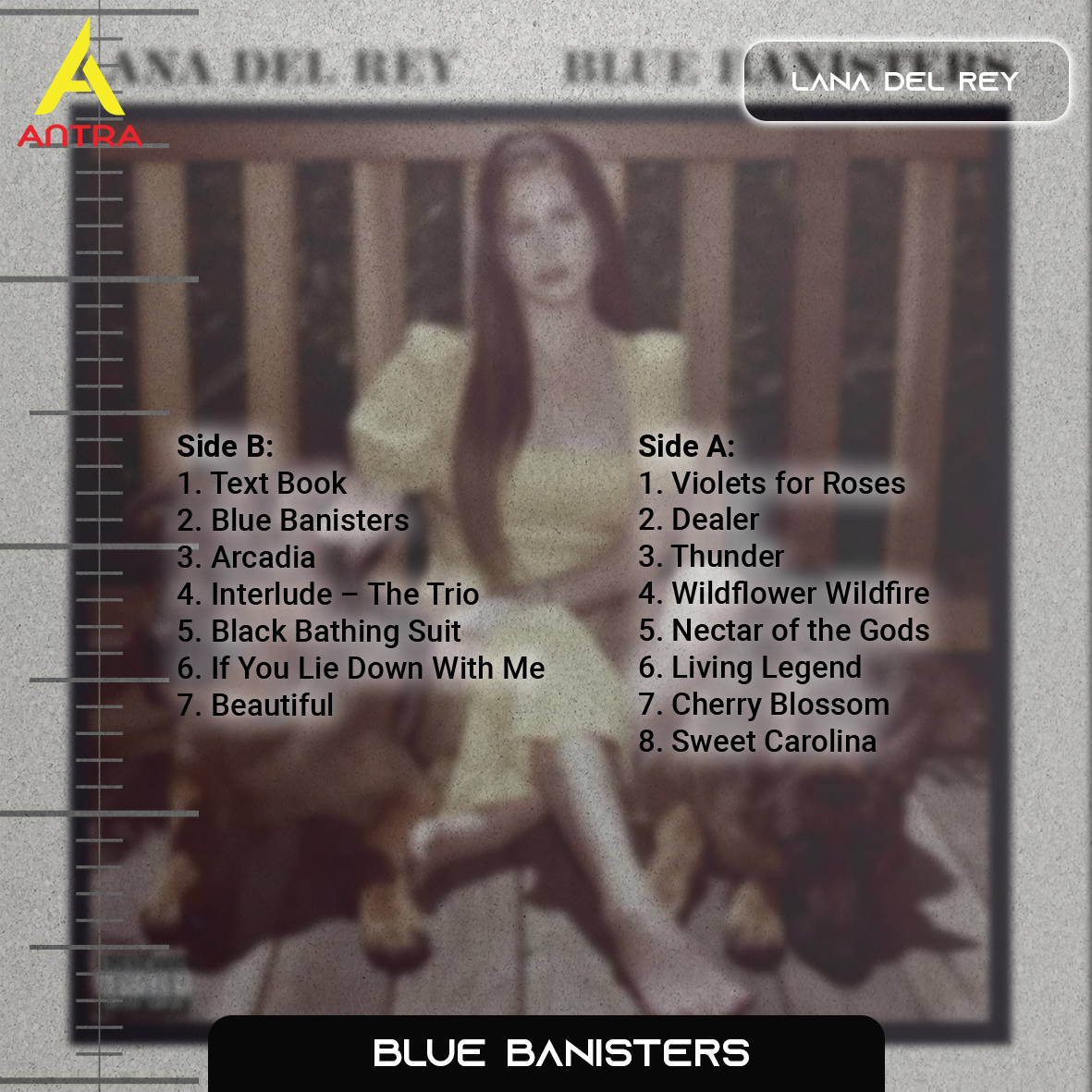 Lana Del Rey Retro Cassette Tape Collection – Hand-Recorded Indie Pop, Dream Pop & Alternative Mixtape Set