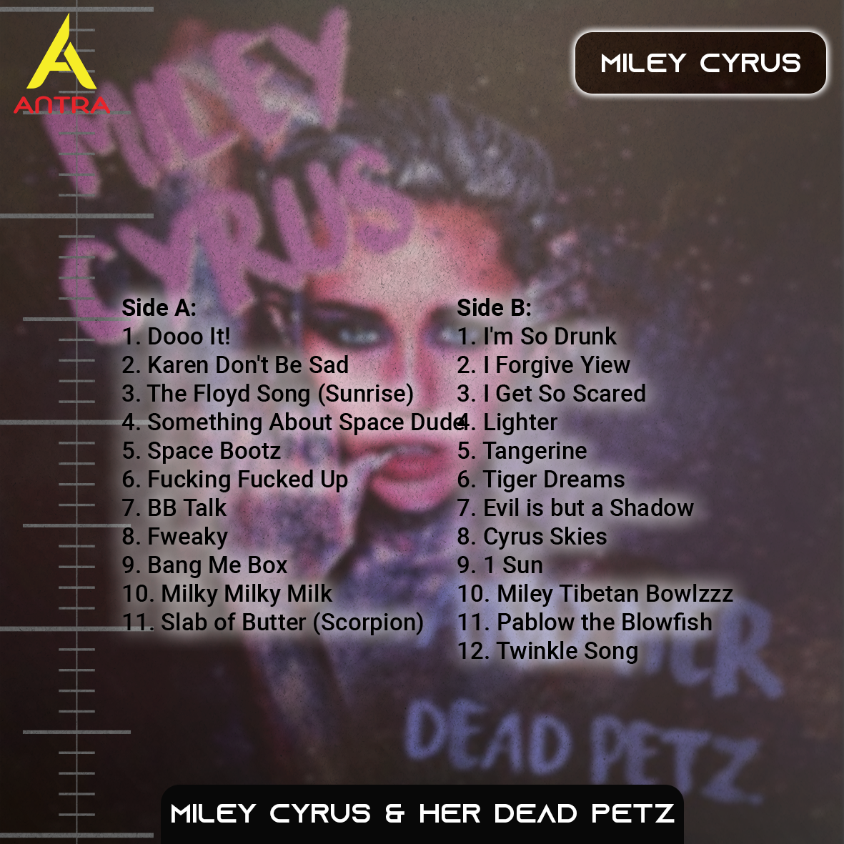 Miley Cyrus Vintage Cassette Tape Collection – Dead Petz, Younger Now, Plastic Hearts & Endless Summer Vacation