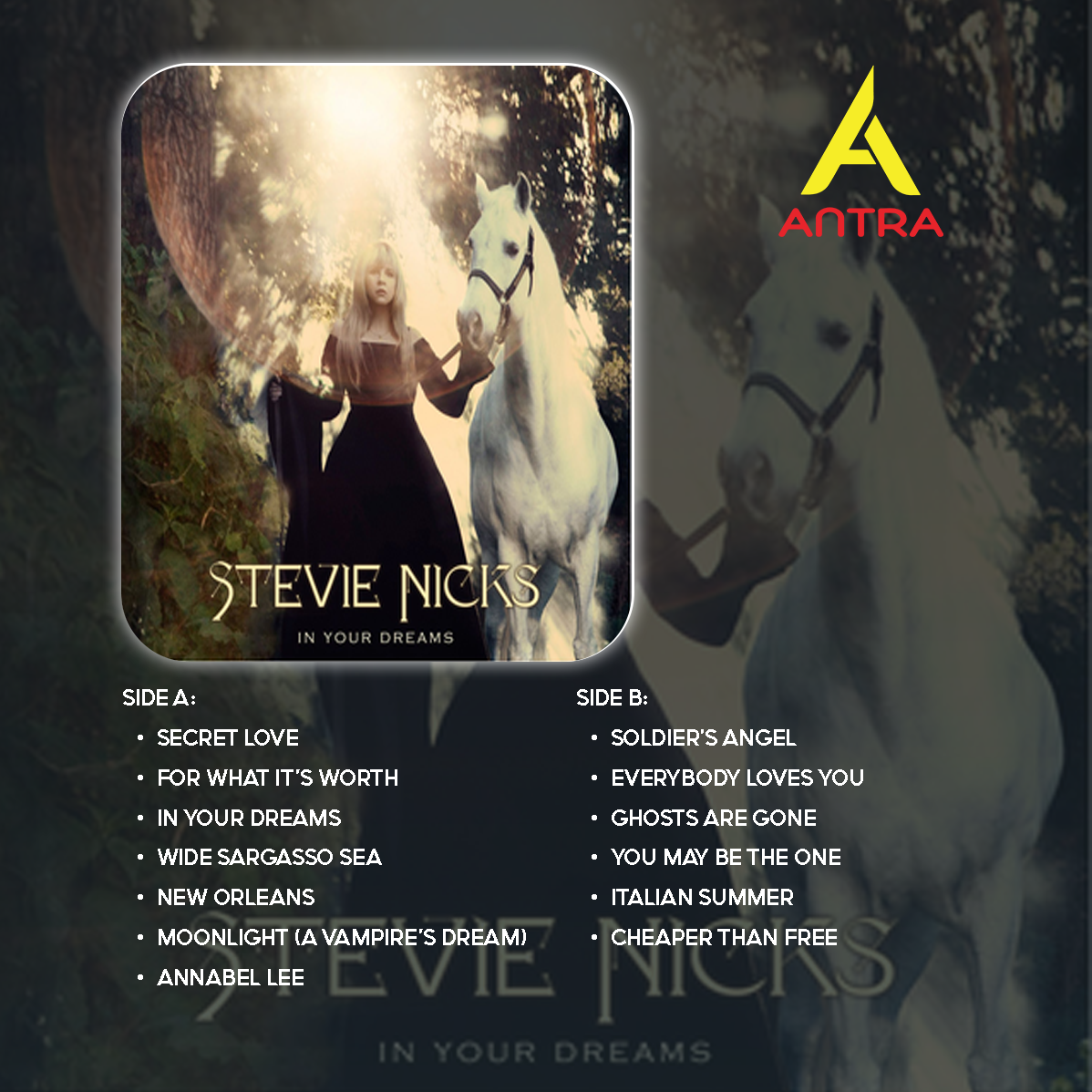 Stevie Nicks Cassette Set – Timeless Studio Gems & Rare Live Recordings