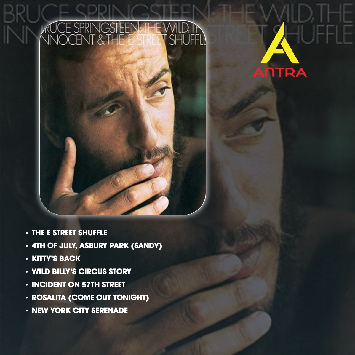 Bruce Springsteen Retro Cassette Tape Collection – Hand-Recorded Classic Rock & Heartland Rock Mixtape Set