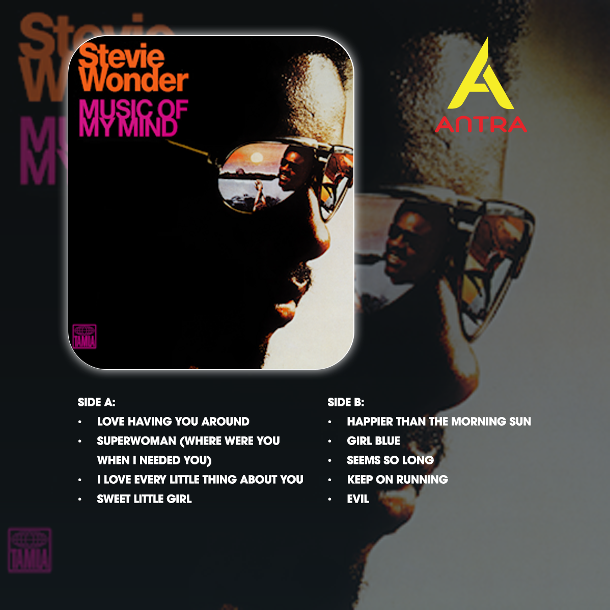 Stevie Wonder Cassette Tape Collection – Soulful Classics & Timeless Hits
