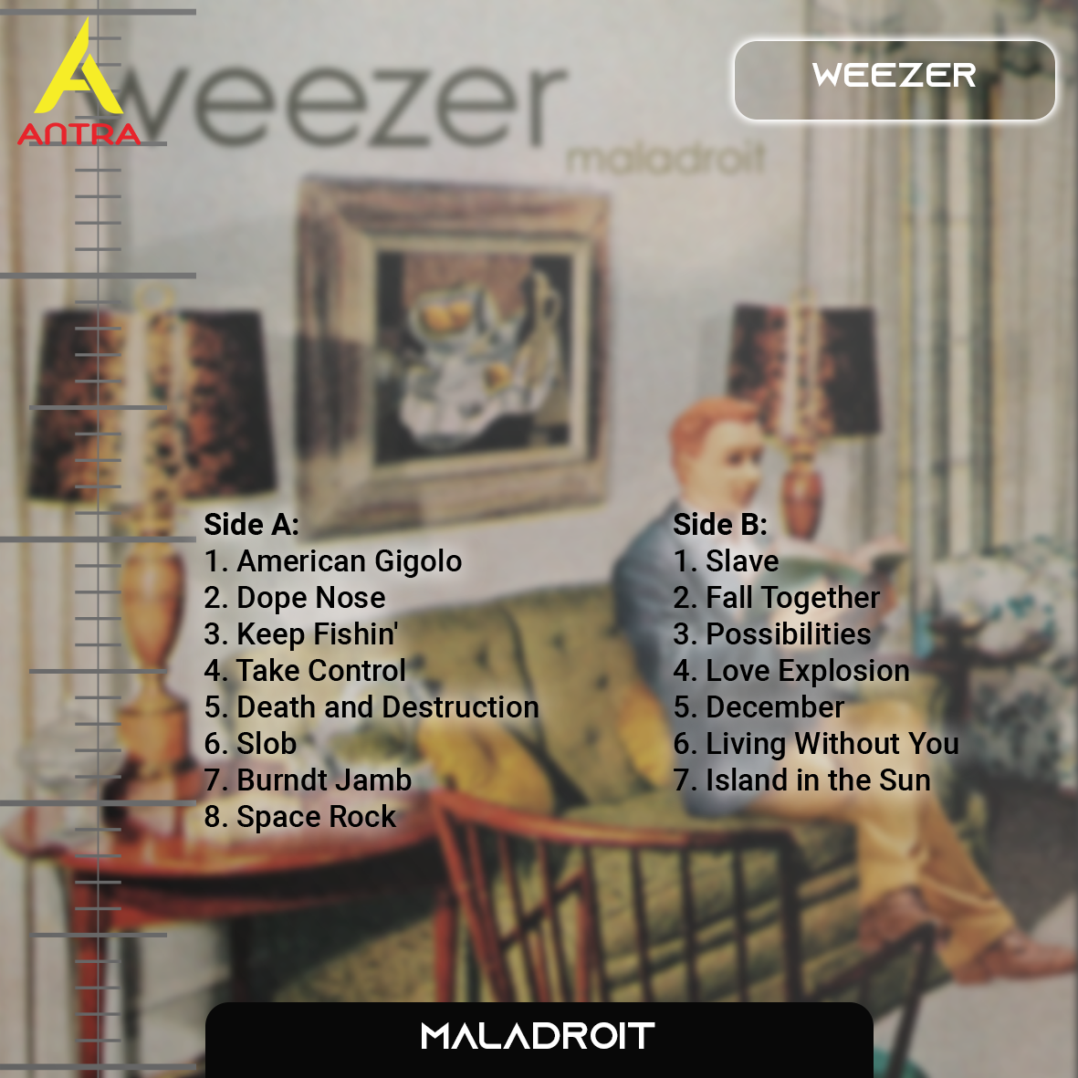 Weezer Cassette Tape Collection – Retro Hand-Recorded Alternative Rock Mixtapes for Collectors & Indie Fans