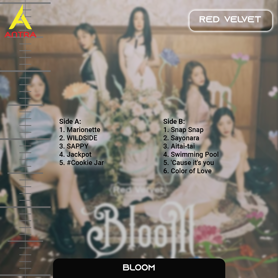 Red Velvet Cassette Tape Collection – Retro Hand-Recorded K-Pop Mixtapes for Collectors & Fans