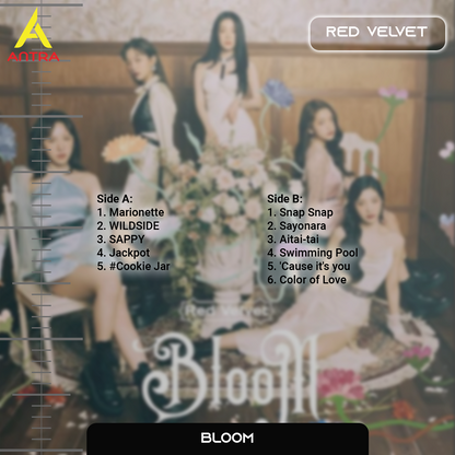 Red Velvet Cassette Tape Collection – Retro Hand-Recorded K-Pop Mixtapes for Collectors & Fans