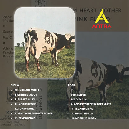 Pink Floyd Cassette Collection – Rare & Experimental Classics