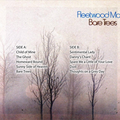 Fleetwood Mac Reel-to-Reel Tape Collection Vol. II | Classic Analog Fanmade Edition for Collectors